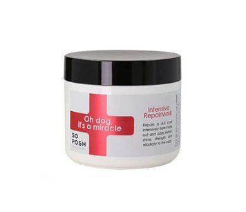 Інтенсивна маска для відновлення "Oh dog, its a Miracle Intensive repair mask" SP_016 фото